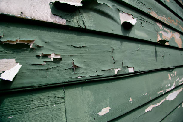 Affordable Siding Repair and Maintenance Services in Franklin, WI